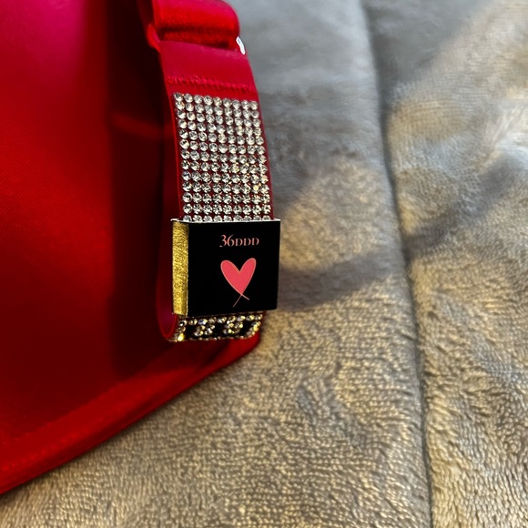 Victoria’s Secret Crystal Bra and Panties - Picture 7 of 7